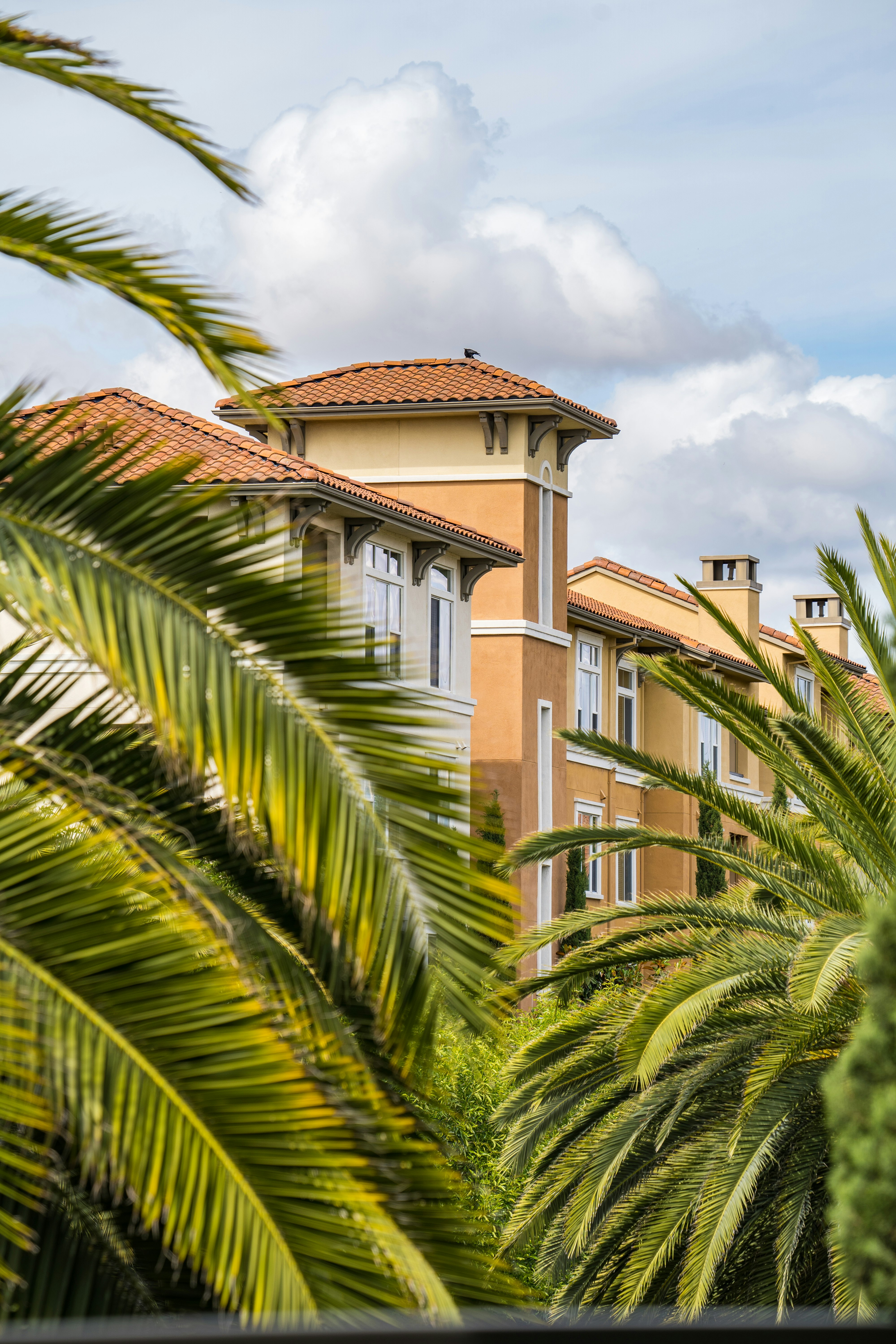 green palm tree near brown concrete building during daytime